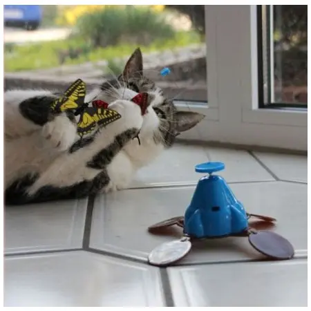 Klicka för större bild