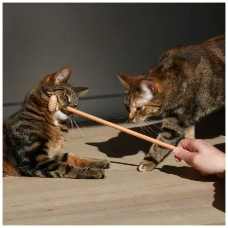 Klicka för större bild