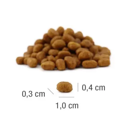 Klicka för större bild