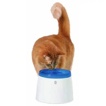 Klicka för större bild