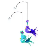 Kong Cat Window Teaser