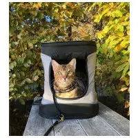 Katt Ryggsäck Timon Grå