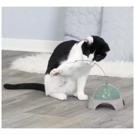 Klicka för större bild