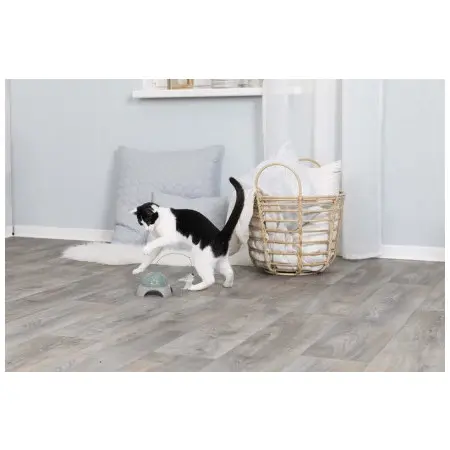 Klicka för större bild