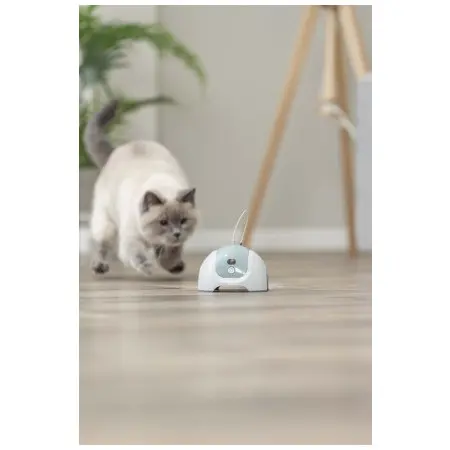 Klicka för större bild