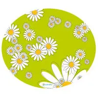 Lucky-Kitty Underlägg Grön