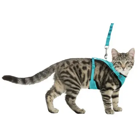 Klicka för större bild