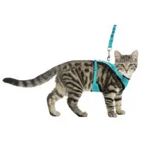 Kattsele Y-sele mesh turkos