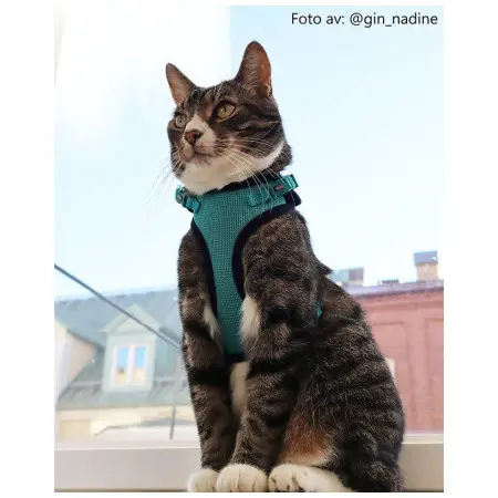 Klicka för större bild