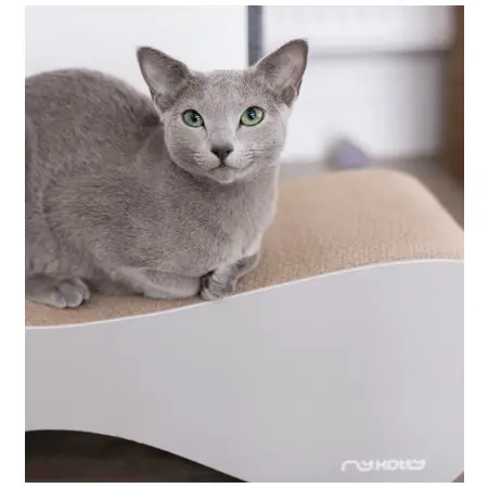 Klicka för större bild