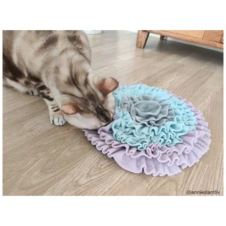 Klicka för större bild