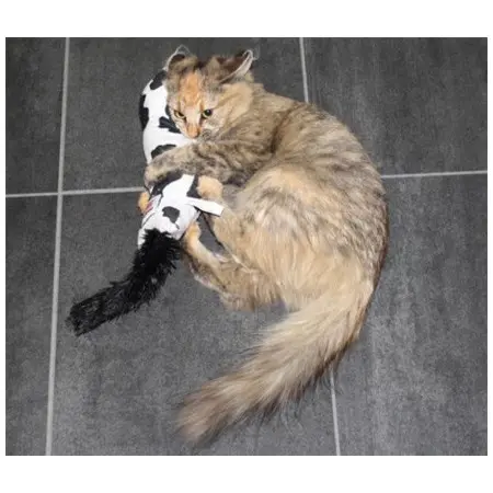 Klicka för större bild