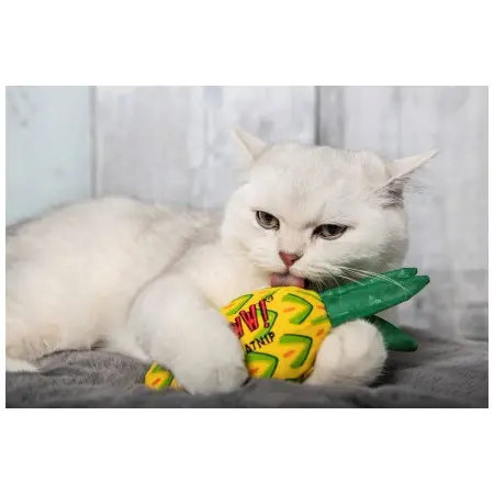 Klicka för större bild