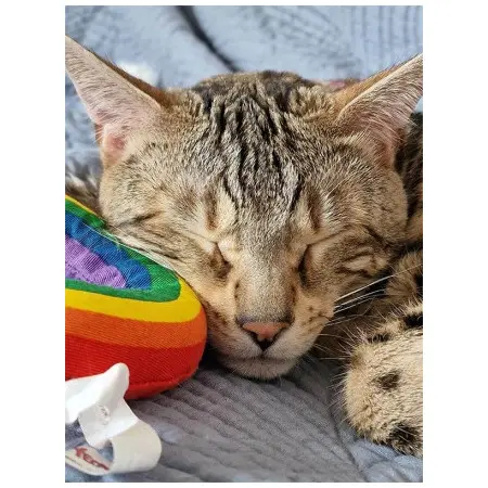 Klicka för större bild