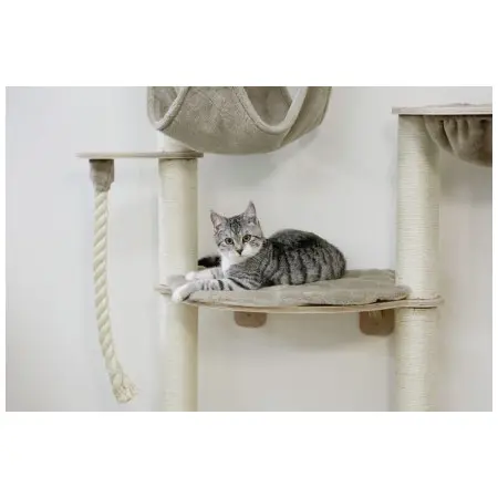 Klicka för större bild