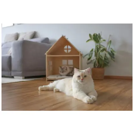 Klicka för större bild