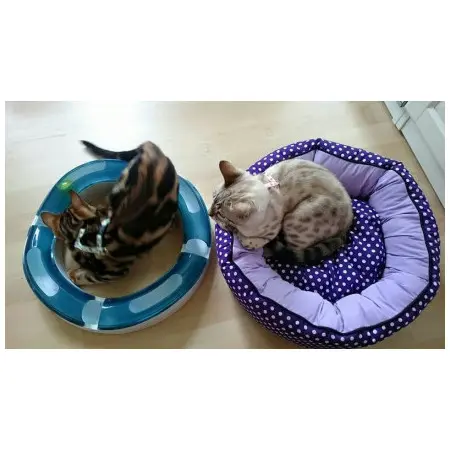 Klicka för större bild