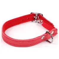 Katthalsband kattunge rött läder
