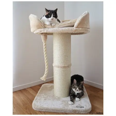 Klicka för större bild