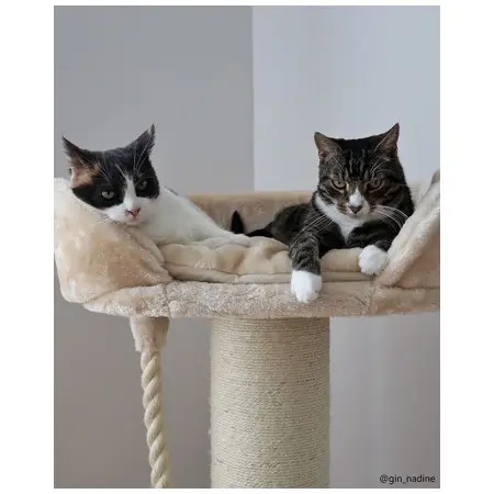 Klicka för större bild