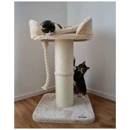 Klicka för större bild