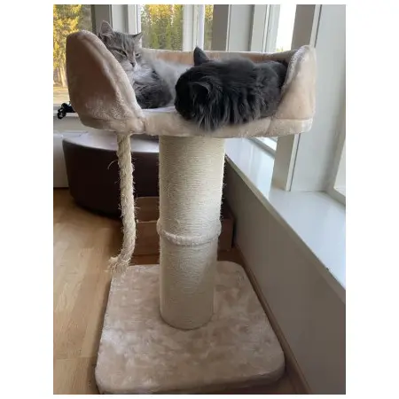 Klicka för större bild