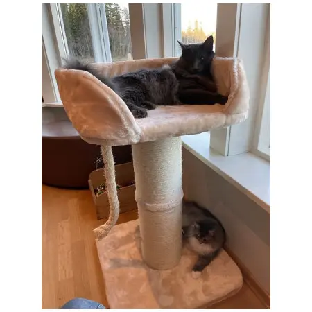 Klicka för större bild