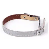 Katthalsband reflex slät silver