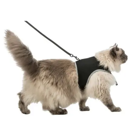 Klicka för större bild