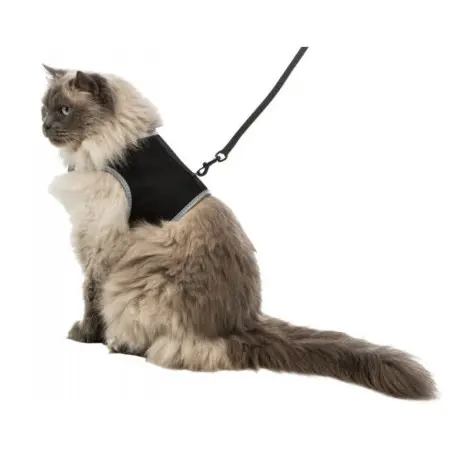 Klicka för större bild