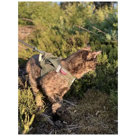 Klicka för större bild