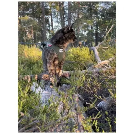 Klicka för större bild