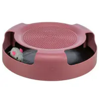 Cat Activity Catch The Mouse Berry