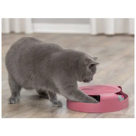 Klicka för större bild