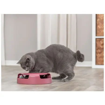 Klicka för större bild