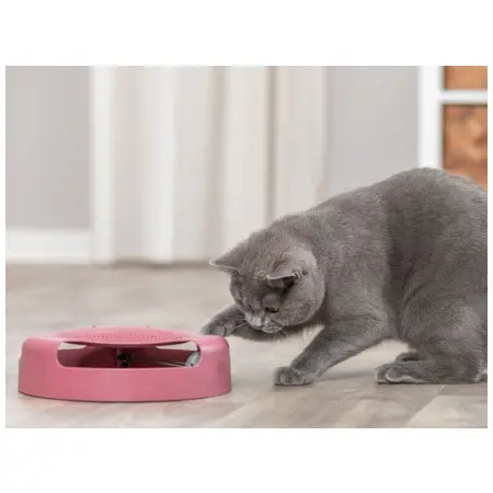 Klicka för större bild