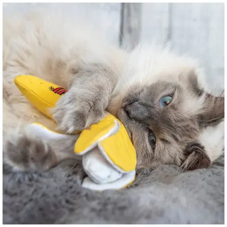 Klicka för större bild