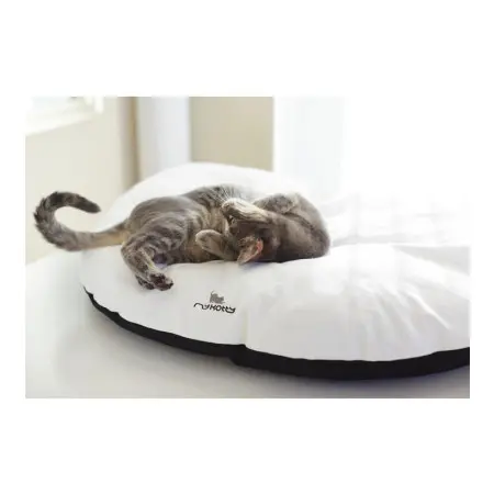 Klicka för större bild