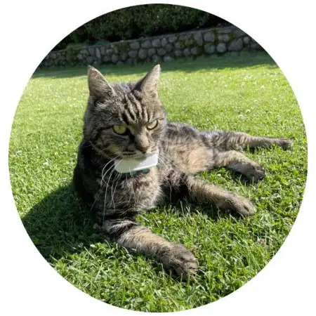 Klicka för större bild