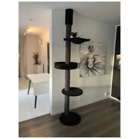 Klicka för större bild