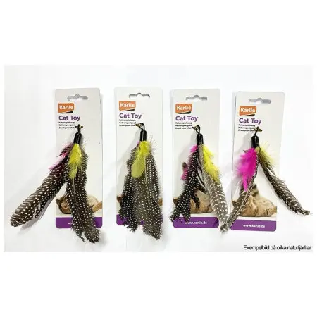 Klicka för större bild