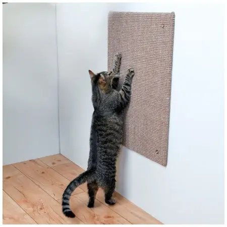 Klicka för större bild