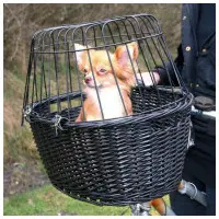 Cykelkorg i rotting med dyna