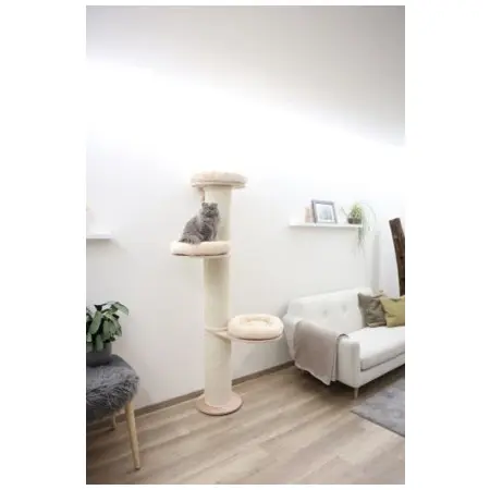 Klicka för större bild