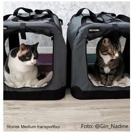 Klicka för större bild