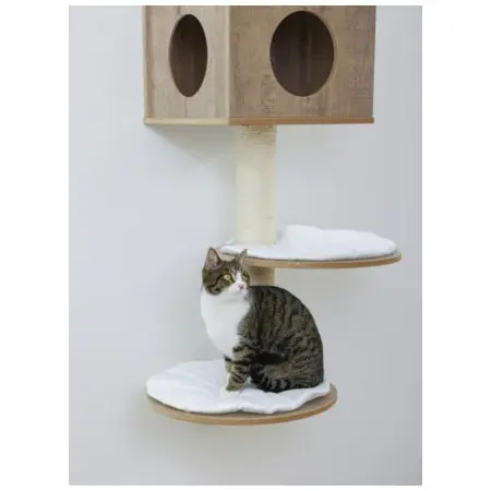 Klicka för större bild