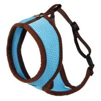 Active Harness blå, med koppel