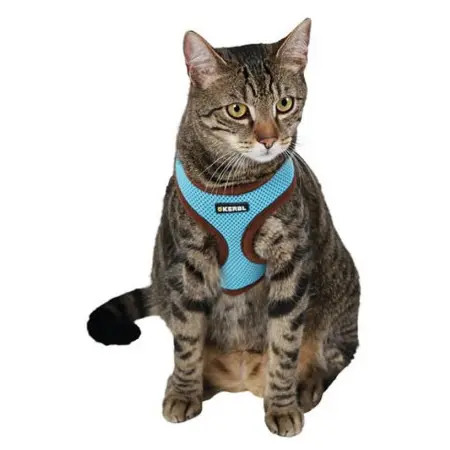 Klicka för större bild