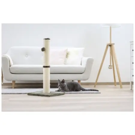 Klicka för större bild