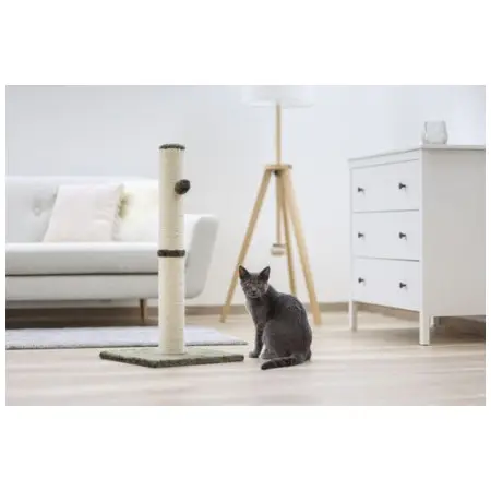 Klicka för större bild